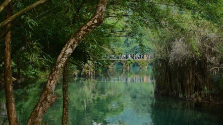 Foto de Una hermosa toma de un lago en medio de árboles con un puente en la distancia - Imagen libre de derechos