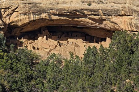 Foto de El fascinante Cliff Palace en el Parque Nacional Mesa Verde con antiguas viviendas conservadas en Colorado - Imagen libre de derechos