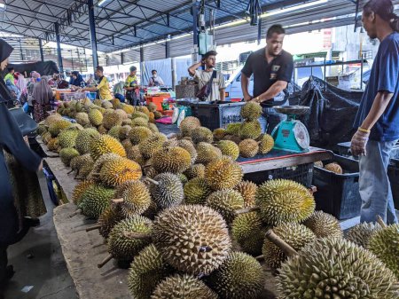 Photo for A closeup of the fresh durians in the morning market of Perak, Malaysia - Royalty Free Image