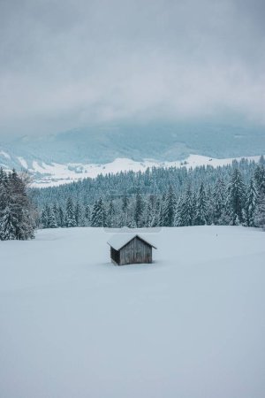 Foto de Una casa de montaña en medio de la ladera nevada de la montaña, rodeada de bosque nevado, en un día de invierno nublado - Imagen libre de derechos