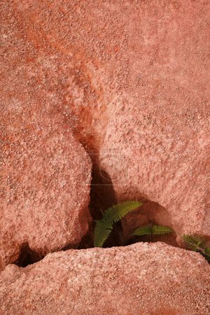 Téléchargez les photos : Un sol rouge dans la montagne du désert - en image libre de droit