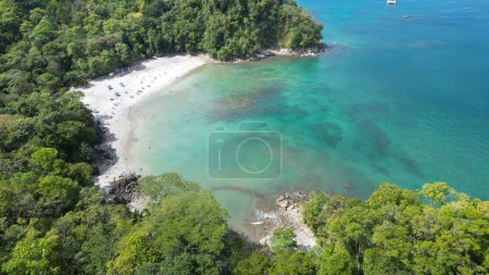 Téléchargez les photos : Un plan aérien au-dessus d'une plage entourée d'arbres tropicaux en face d'une mer azur - en image libre de droit