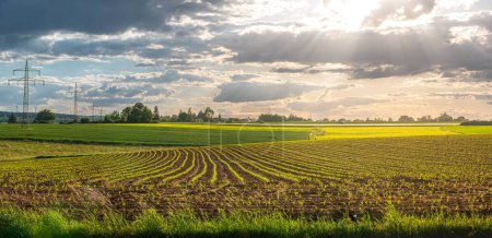 Foto de Un plano panorámico de verdes campos agrícolas y con rayos de sol brillando a través de las nubes - Imagen libre de derechos