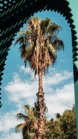 Foto de Un plano vertical de una palmera alta detrás de un edificio azul marroquí y nubes - Imagen libre de derechos