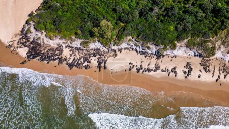 Photo for An aerial view of sea waves breaking greenery beach - Royalty Free Image