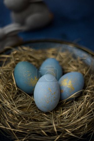 Photo for A closeup view of blue colored eggs on a nest for the Easter celebration - Royalty Free Image