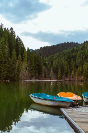 Téléchargez les photos : Les petits canots amarrés sur un petit lac entouré par la forêt dense et verte - en image libre de droit