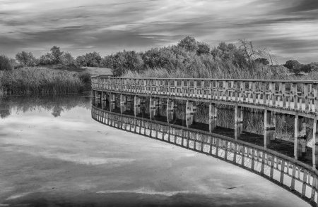Photo for A grayscale shot of a bridge and trees reflected in the lake in Tablas de Daimiel National Park, Spain - Royalty Free Image