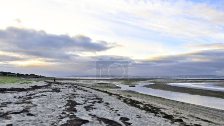 Téléchargez les photos : Le bord de mer à marée basse sur fond de bâtiments de la ville au loin sur ciel nuageux - en image libre de droit