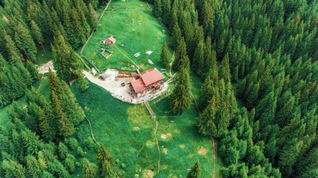 Téléchargez les photos : Une vue aérienne d'une maison rurale dans le champ verdoyant de la forêt - en image libre de droit