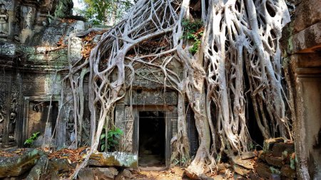 Photo for A close-up shot of an ancient building under tree roots in Krong Siem Reap, Cambodia - Royalty Free Image