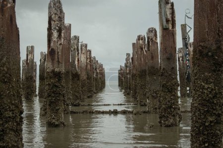 Foto de Un muelle en ruinas sentado en el agua en la marea baja - Imagen libre de derechos