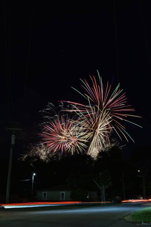 Photo for Colorful fireworks against a blanket of darkness (and a few trees) - Royalty Free Image