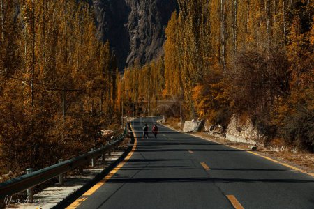 Téléchargez les photos : Une route asphaltée avec de grands arbres sur le côté - en image libre de droit