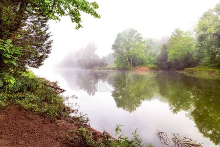Photo for A lake reflecting surrounding green trees on a foggy day in Beckley creek park in Louisville, Kentucky - Royalty Free Image