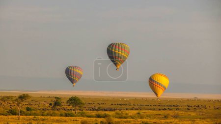 Téléchargez les photos : Trois montgolfières colorées survolant le pâturage - en image libre de droit