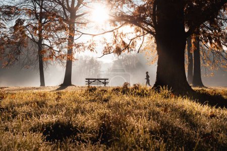 Photo for A silhouette of a jogger running in the distance in a park on a misty sunny autumn morning - Royalty Free Image