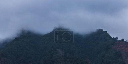 Photo for A beautiful view of the mountain with thick, green trees on it and the fog moving over the peak - Royalty Free Image