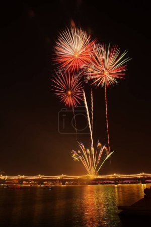 Photo for A vertical shot of the exploding colorful fireworks over the lake shore in the night sky - Royalty Free Image