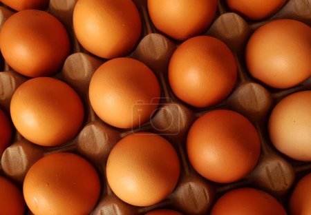 Foto de Un primer plano de los huevos en el encofrado - Imagen libre de derechos