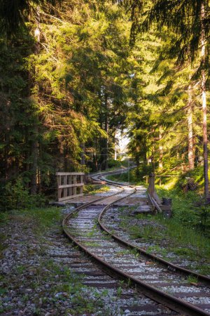 Foto de Un ferrocarril sinuoso en un denso bosque verde - Imagen libre de derechos