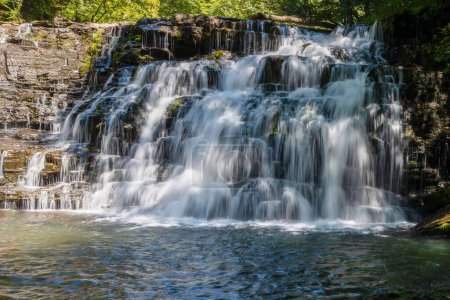 Téléchargez les photos : A beautiful shot of a waterfall during the day in a forest - en image libre de droit