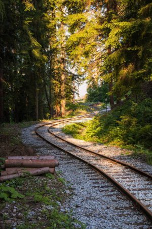 Téléchargez les photos : Un chemin de fer sinueux dans une forêt dense et verte - en image libre de droit