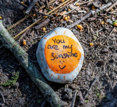 Téléchargez les photos : Un gros plan d'une pierre avec le message "tu es mon rayon de soleil" - en image libre de droit