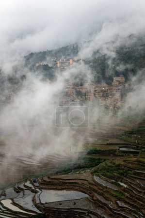 Foto de Un plano vertical de las terrazas de arroz con un pueblo escondido detrás de una nube - Imagen libre de derechos