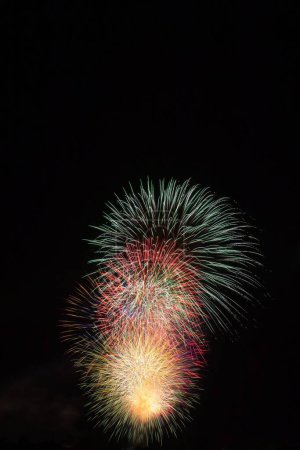 Téléchargez les photos : Un coup vertical de fusées explosant dans le ciel nocturne le 4 juillet. - en image libre de droit