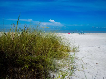 Foto de La hierba verde alta en una playa de arena con un mar en el fondo en Estero Island, Florida - Imagen libre de derechos