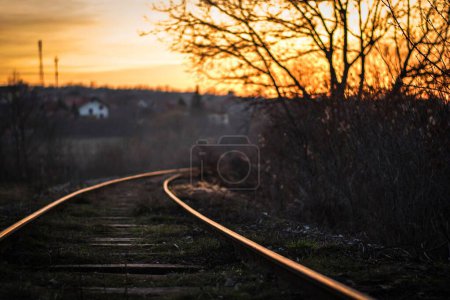 Téléchargez les photos : Une mise au point sélective d'une ancienne voie ferrée avec des plantes envahies par le soleil couchant - en image libre de droit