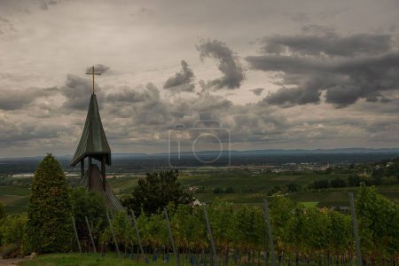 Foto de Una hermosa toma de viñedos junto a una iglesia - Imagen libre de derechos