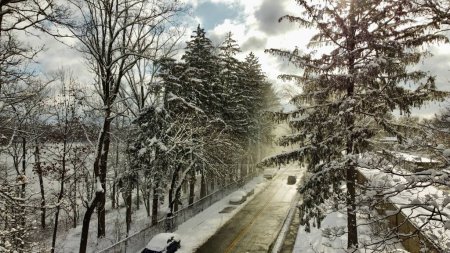 Téléchargez les photos : La vue sur la route avec des voitures garées et des arbres couverts de neige. - en image libre de droit