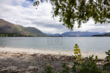 Téléchargez les photos : Un beau paysage d'un lac montagneux - en image libre de droit