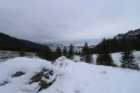 Foto de Un paisaje invernal en el parque provincial de Kalamalka con suelo nevado, fondo de cielo en blanco - Imagen libre de derechos