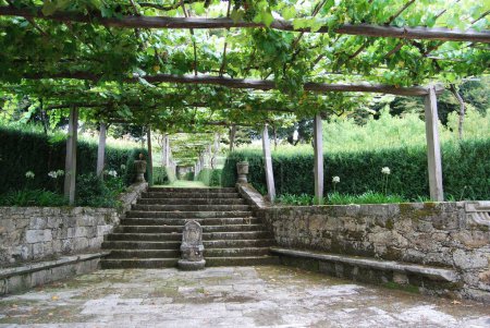 Téléchargez les photos : Une cour avec escalier, verdure autour et plafond de feuilles vertes dans le point de repère historique Pazo de Oca en Espagne - en image libre de droit