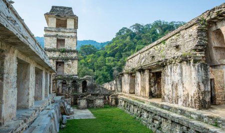 Photo for A scenic view of Palenque ruins and pyramids under blue sky in Mexico - Royalty Free Image