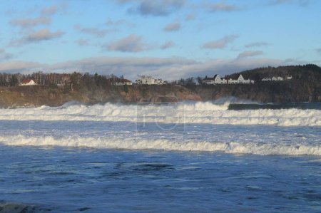 Téléchargez les photos : Une vue sur le paysage des vagues mousseuses dans la plage avec des arbres forestiers et des maisons en arrière-plan - en image libre de droit