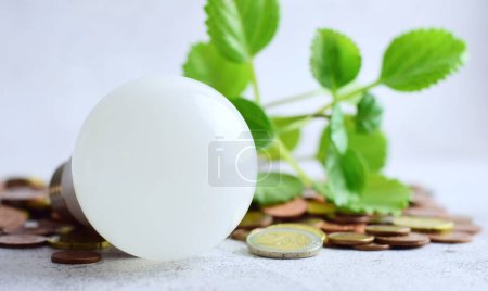 Téléchargez les photos : Une ampoule avec des pièces en euros et un concept végétal de mesures énergétiques - en image libre de droit