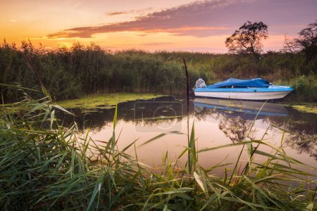 Photo for A boat surrounded by reeds against scenic sunset - Royalty Free Image