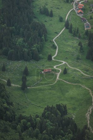 Photo for A drone vertical shot of countryside houses and road on greenery mountain's slope - Royalty Free Image