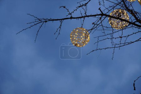 Photo for The decorative balls hanging from the tree under an evening sky. - Royalty Free Image