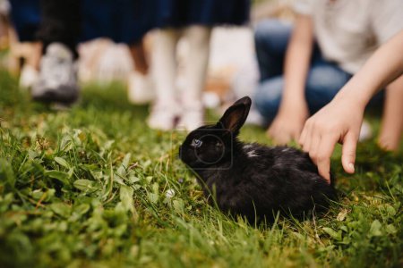 Foto de Un enfoque selectivo de un pequeño conejo negro lindo descansando sobre la hierba y los niños jugando con él - Imagen libre de derechos