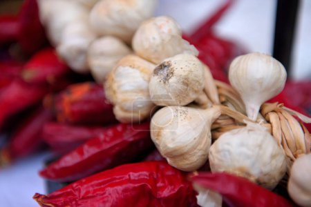 Photo for A closeup of garlics and dried red chili peppers - Royalty Free Image