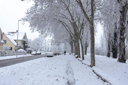 Téléchargez les photos : Un beau paysage hivernal dans un parc - en image libre de droit