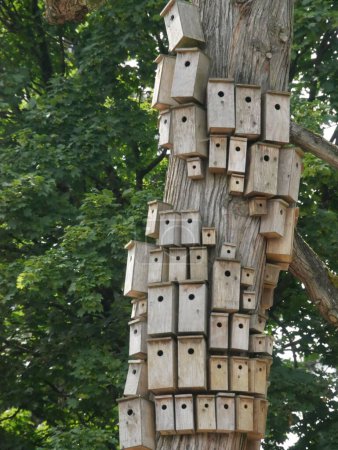 Foto de Un plano vertical de pajareras de madera de diferentes tamaños en un árbol. - Imagen libre de derechos