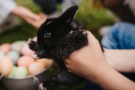 Foto de Un niño sosteniendo un lindo conejo en sus manos con coloridos huevos de Pascua en el fondo borroso - Imagen libre de derechos