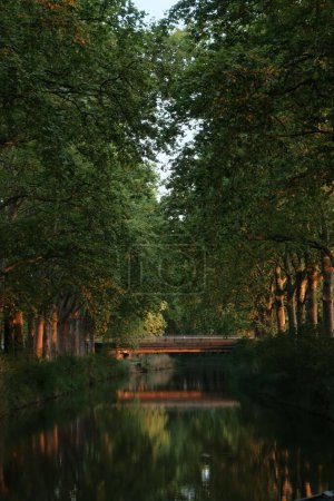 A bridge on a reflecting river surrounded by green trees evening sunlight