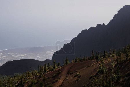 Téléchargez les photos : La vue sur la colline avec des arbres verts sur le fond des falaises. Tenerife, Espagne. - en image libre de droit